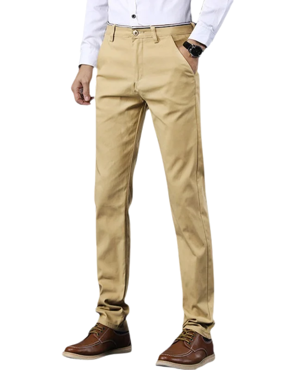 Chic Men's Trousers